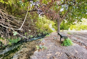Foto 12