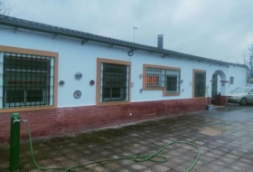 Foto 17