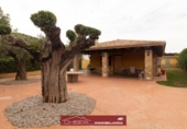 Chalet independiente con terreno en venta en la España, Náquera, ref: TR405845 foto