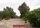 Chalet independiente con terreno en venta en la España, Náquera, ref: TR405845 foto