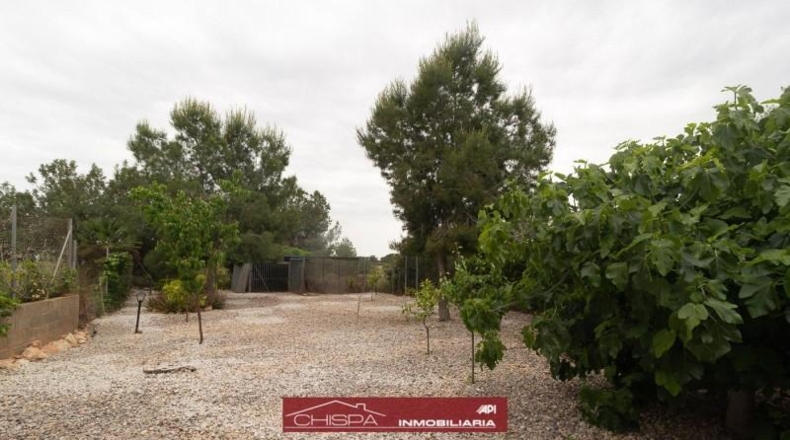 Valencia - Náquera - 825m2