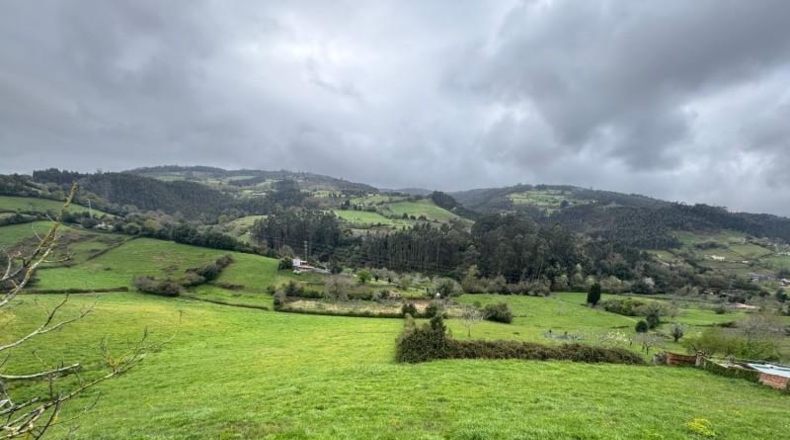 Asturias - Villaviciosa - 20487m2