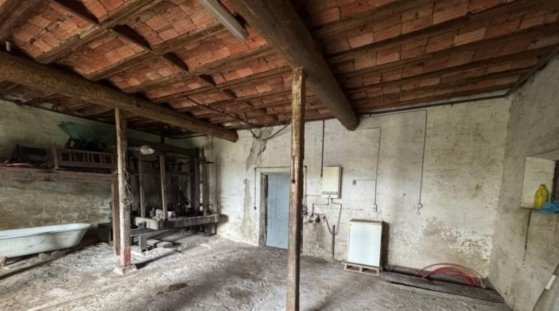 Asturias - Villaviciosa - 20487m2