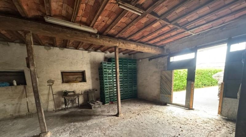 Asturias - Villaviciosa - 20487m2