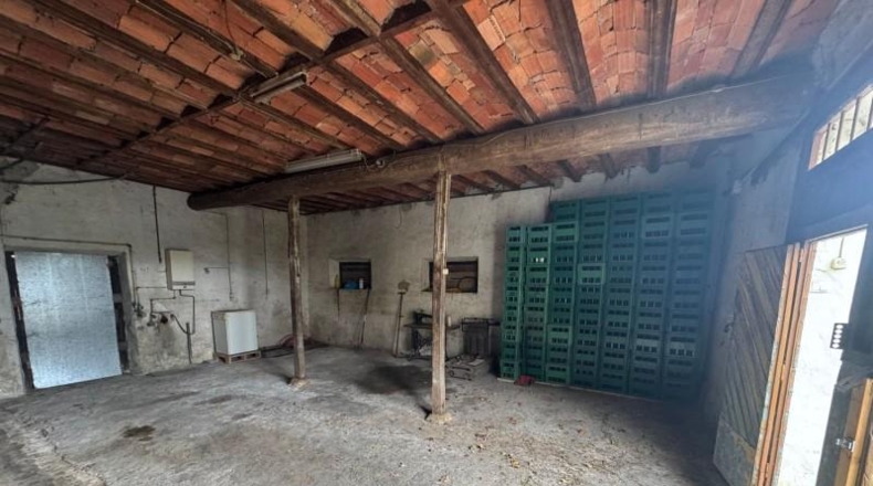 Asturias - Villaviciosa - 20487m2