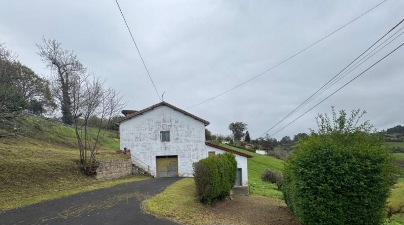 Asturias - Villaviciosa - 20487m2