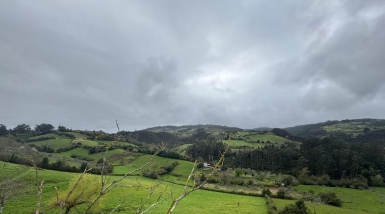 Asturias - Villaviciosa - 20487m2