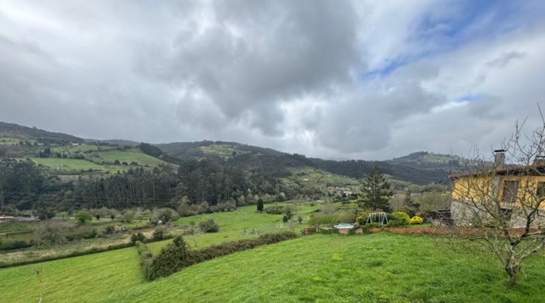 Asturias - Villaviciosa - 20487m2
