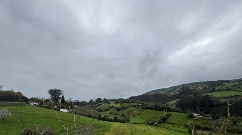 Asturias - Villaviciosa - 20487m2