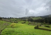 Chalet independiente con terreno en venta en la España, Villaviciosa, ref: TR401725 foto