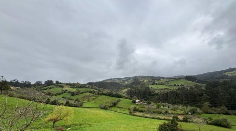 Asturias - Villaviciosa - 20487m2