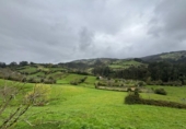 Chalet independiente con terreno en venta en la España, Villaviciosa, ref: TR401725 foto