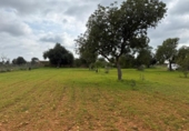 Terreno no urbanizable en venta en la España, Llucmajor, ref: TR395239 foto