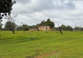 Terreno no urbanizable en venta en la España, Llucmajor, ref: TR395239 foto