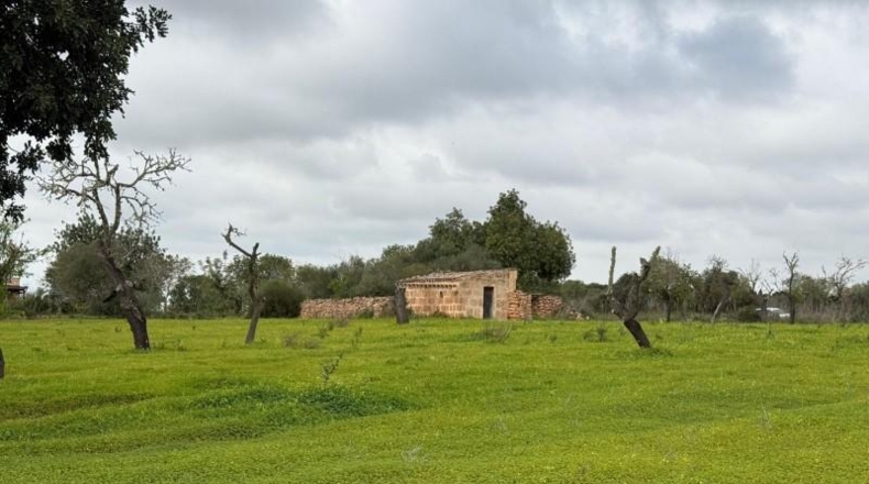 Islas Baleares - Lluchmayor - 38493m2