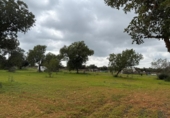 Terreno no urbanizable en venta en la España, Llucmajor, ref: TR395239 foto