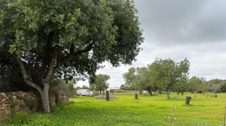 Islas Baleares - Lluchmayor - 38493m2