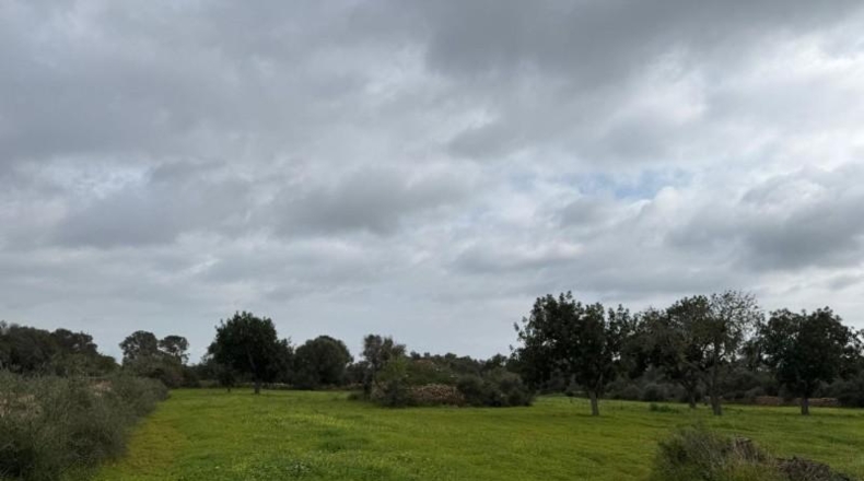 Islas Baleares - Lluchmayor - 38493m2