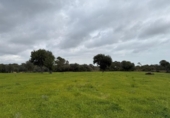Terreno no urbanizable en venta en la España, Llucmajor, ref: TR395239 foto