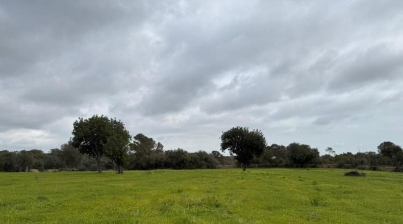 Islas Baleares - Lluchmayor - 38493m2