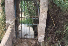 Foto 6