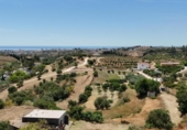 Xalet independent amb terreny en venda a la España, Campo-Mijas, ref.: TR411399 foto
