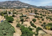 Xalet independent amb terreny en venda a la España, Campo-Mijas, ref.: TR411399 foto