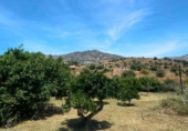 Xalet independent amb terreny en venda a la España, Campo-Mijas, ref.: TR411399 foto