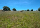 Xalet independent amb terreny en venda a la España, Campo-Mijas, ref.: TR411399 foto