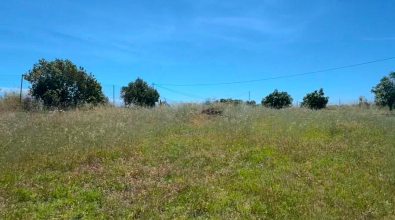 Малага - Campo-Mijas - 4900m2