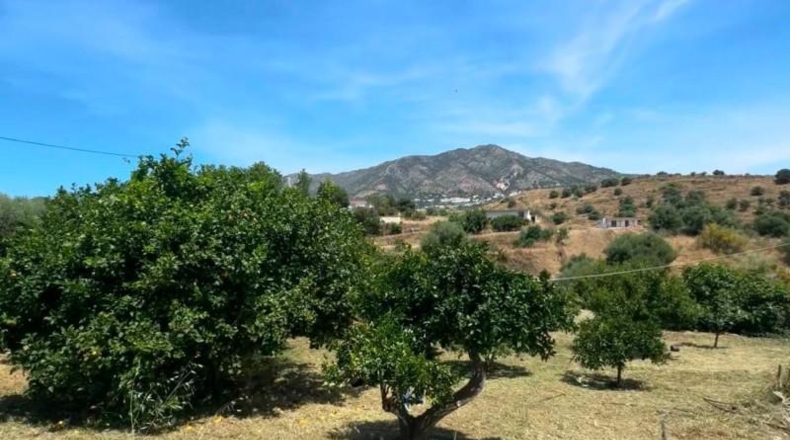 Малага - Campo-Mijas - 4900m2