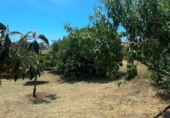 Xalet independent amb terreny en venda a la España, Campo-Mijas, ref.: TR411399 foto
