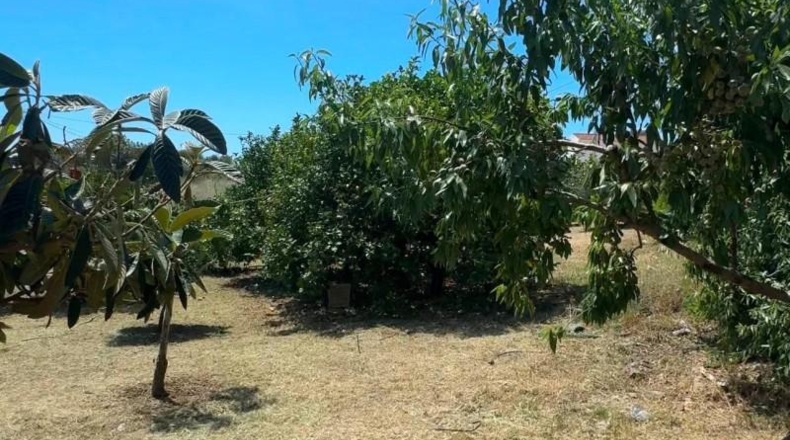 Малага - Campo-Mijas - 4900m2