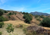 Xalet independent amb terreny en venda a la España, Campo-Mijas, ref.: TR411399 foto