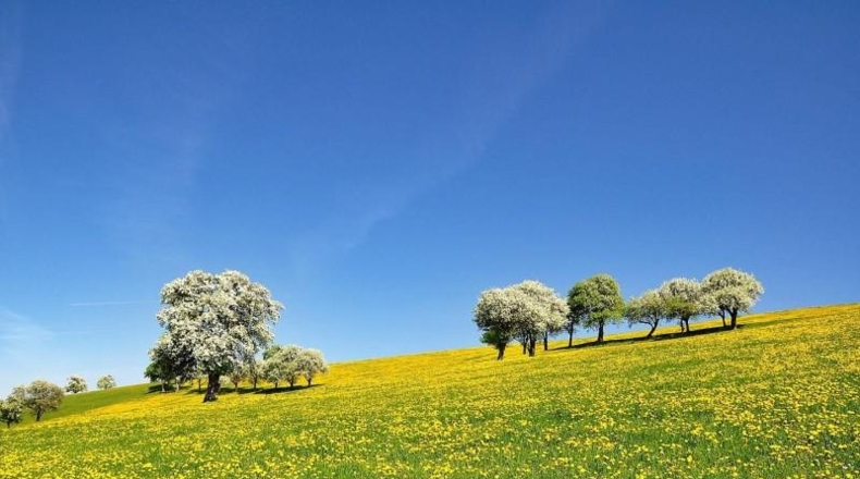 Gerona - Peralada - 281m2