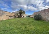 Chalet independiente con terreno en venta en la España, Ribaforada, ref: TR218019 foto