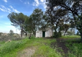 Sòl urbà en venda a la España, Còrdova, ref.: TR410780 foto