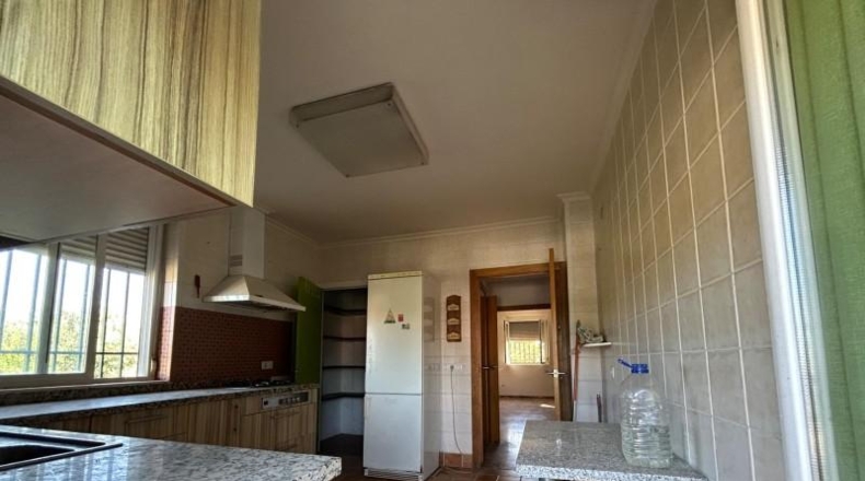 Córdoba - Córdoba - 1800m2