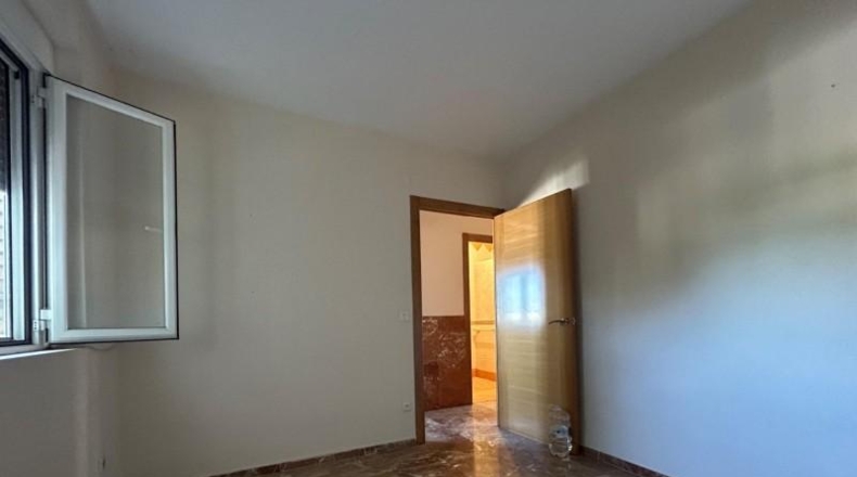 Córdoba - Córdoba - 1800m2