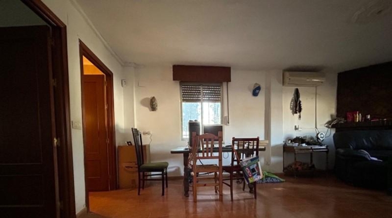 Córdoba - Córdoba - 1800m2
