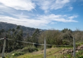 Casa de pueblo en venta en la España, Villaviciosa, ref: TR411411 foto