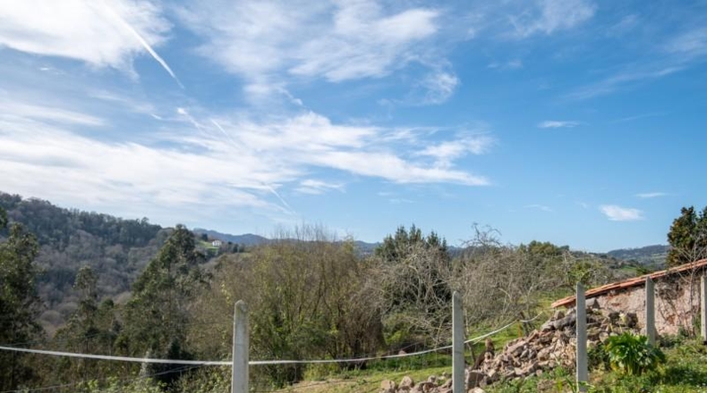 Asturias - Villaviciosa - 476m2