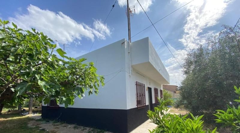 Murcia - Murcia - 1300m2