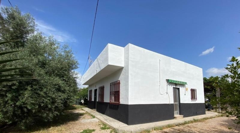 Murcia - Murcia - 1300m2