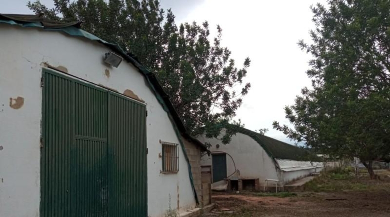 Valencia - Liria - 17900m2
