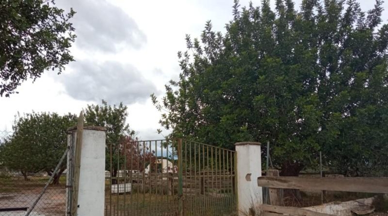 Valencia - Liria - 17900m2