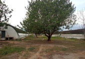 Terreno no urbanizable en venta en la España, Llíria, ref: TR125114 foto
