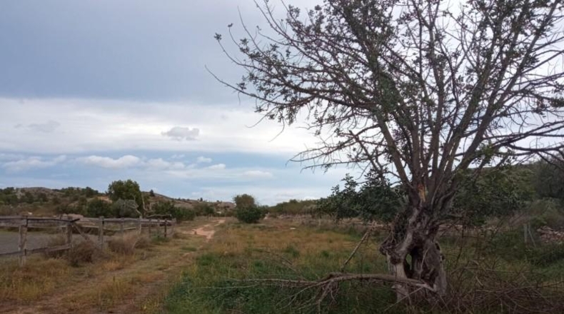 Valencia - Liria - 17900m2