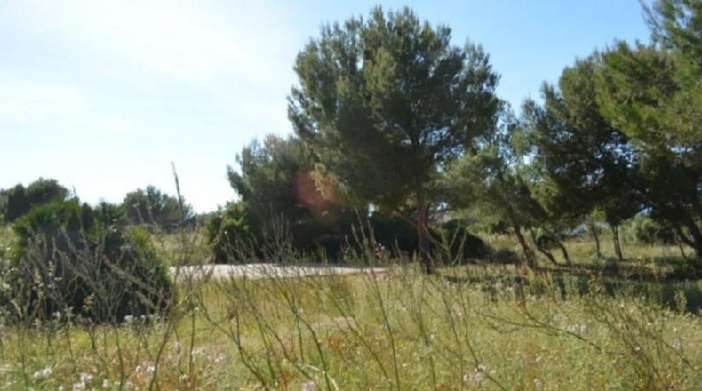 Balearic Islands - Artá - 1530m2