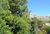 Parcela urbanizable en venta en la España, Artà, ref: TR119235 foto